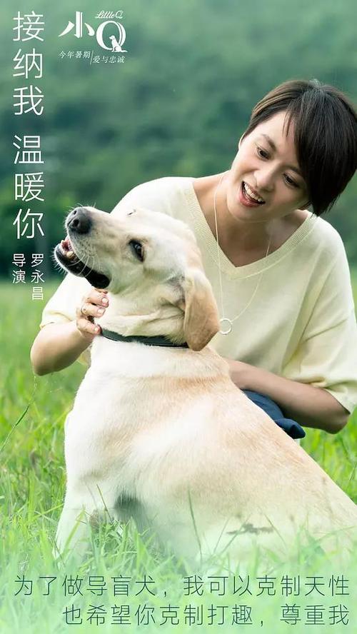 阿巴拉契亚州立大学传媒毕业证